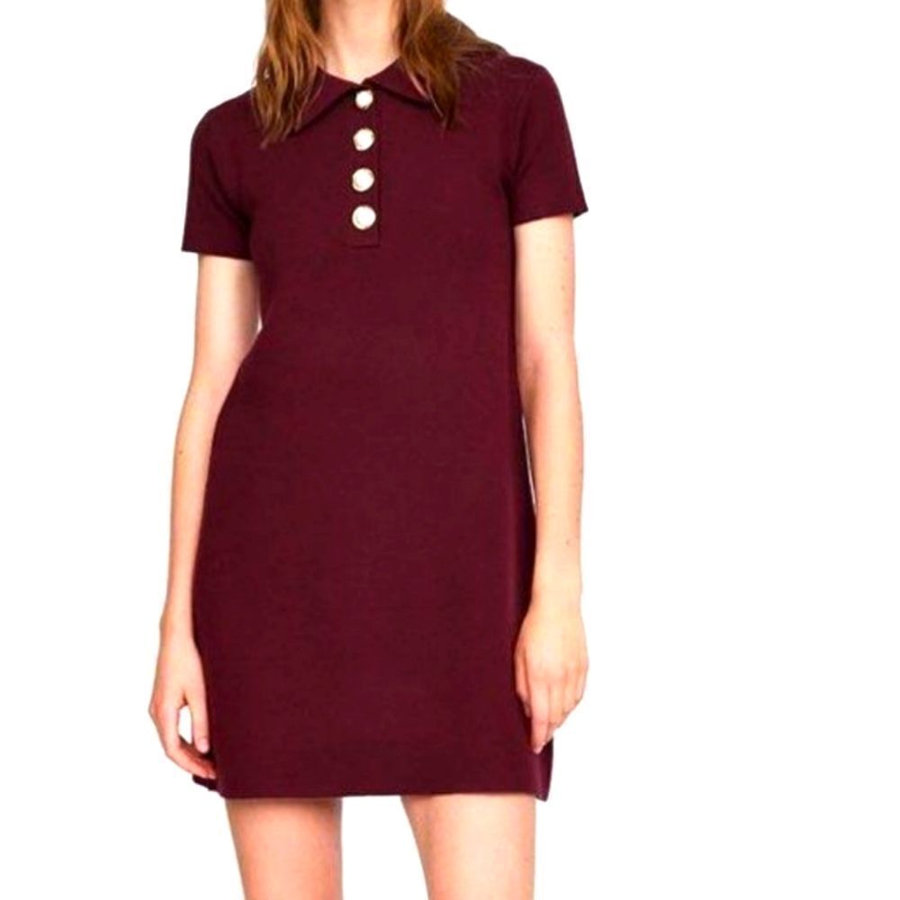 Zara Burgundy Short Sleeve Dress